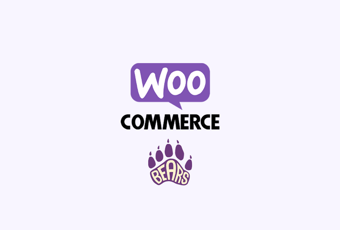 افزونه BEAR ویرایش گروهی و مدیریت حرفه‌ای محصولات ووکامرس